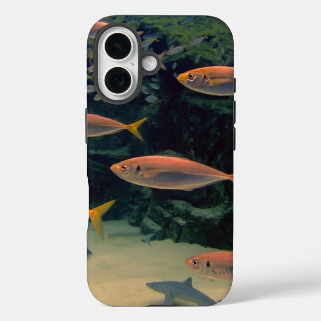 Pink Fish Shoal Underwater Photo Case-Mate iPhone Case (Back)