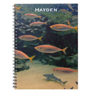 Pink Fish Shoal Underwater Photo Personalised Notebook