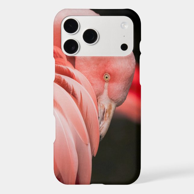 Pink Flamingo (Back)