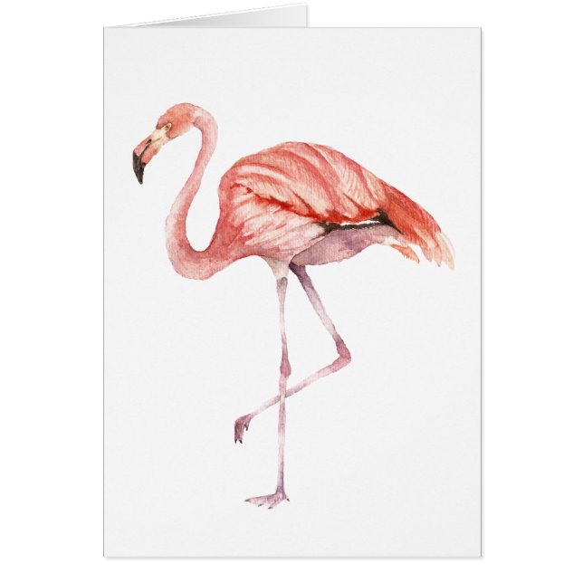 Pink Flamingo (Front)