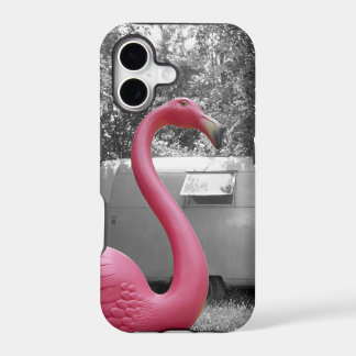 Pink Flamingo