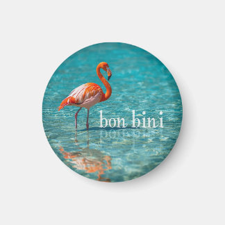 Pink flamingo abc islands magnet