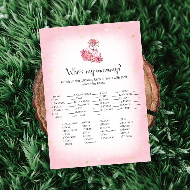 Pink Flamingo Ballerina Who's My Mummy Shower Game Invitation (Creator Uploaded)