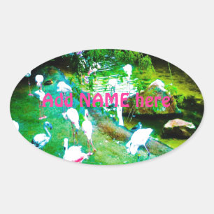 Pink Flamingo Birds Custom Oval Sticker