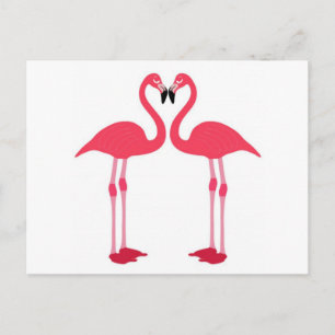 Pink flamingo-birds-love-heart postcard
