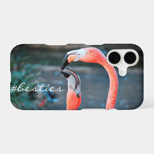Pink Flamingo Birds Photo Besties Friends Script (Back (Horizontal))