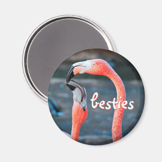 Pink Flamingo Birds Photo Besties Script Stylish Magnet (Front/Back)