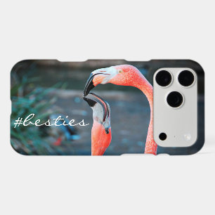 Pink Flamingo Birds Photo Friends Besties Script