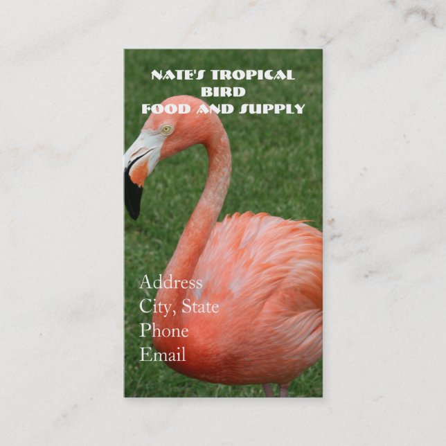 Pink Flamingo Business Card (Front)