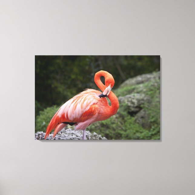 Pink Flamingo Canvas Print (Front)