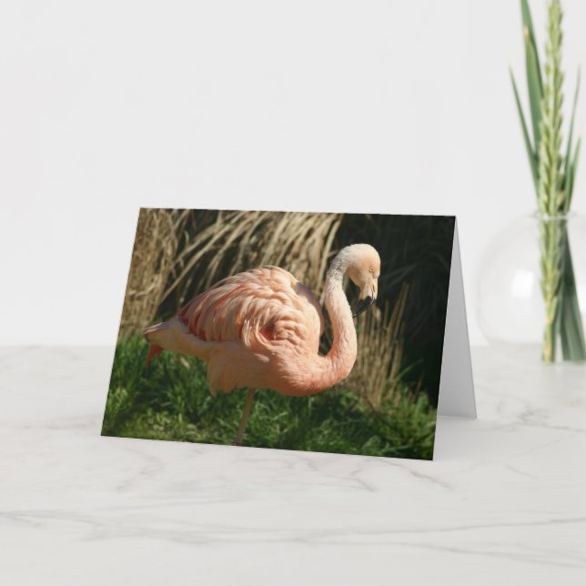 Pink Flamingo Card (Front)