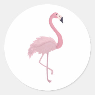 Pink Flamingo Classic Round Sticker