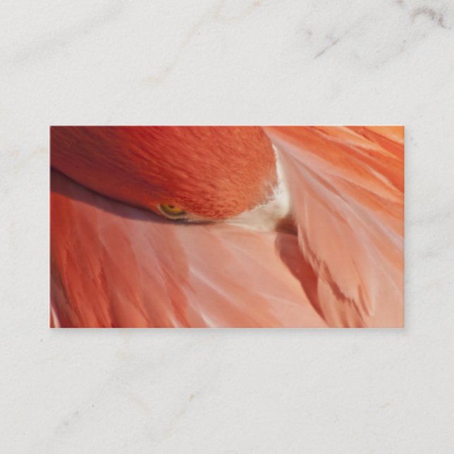 Pink Flamingo Closeup Business Card (Front)