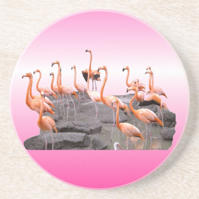Pink Flamingo Coaster (Front)