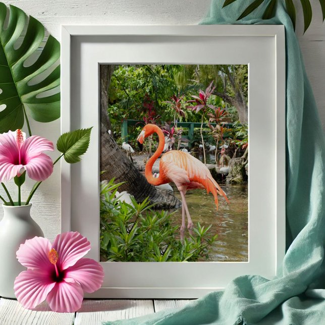 Pink Flamingo Decor Photography Bonita Springs (Tropical gifts pink flamingo photography Wonder Gardens Bonita Springs by Victoria Grigaliunas)