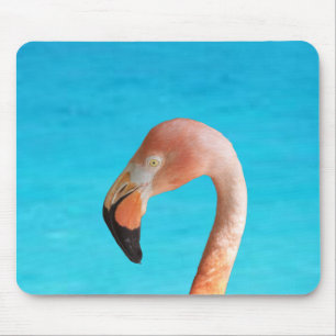 Pink flamingo face against blue water on a mouse mat