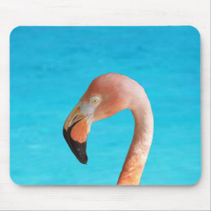 Pink flamingo face against blue water on a mouse mat