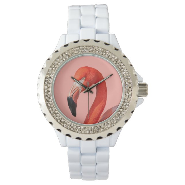 Pink Flamingo Face Woman's Watch (Front)