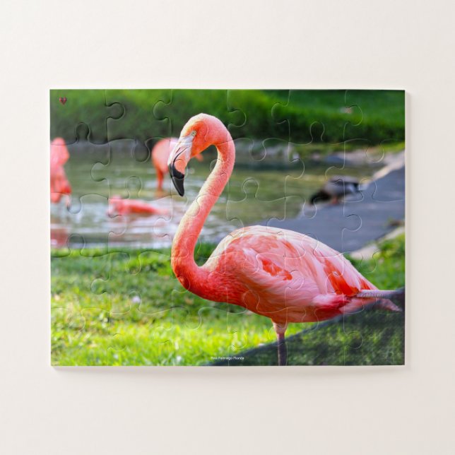 Pink Flamingo Florida. Jigsaw Puzzle (Horizontal)