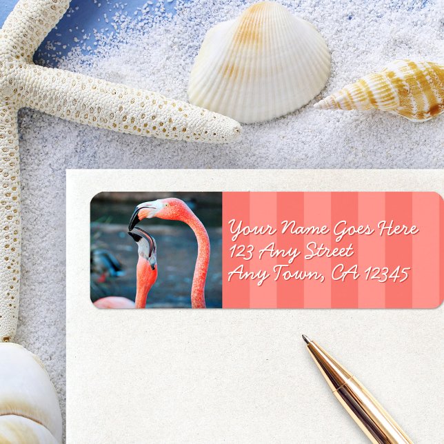 Pink flamingo friends photo custom script address (Creator Uploaded)