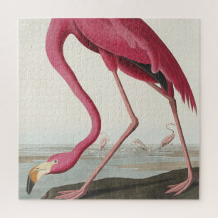 Pink Flamingo from Birds of America Jigsaw Puzzle