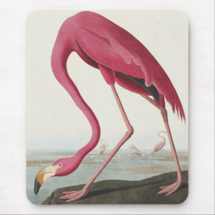 Pink Flamingo from Birds of America Mouse Mat