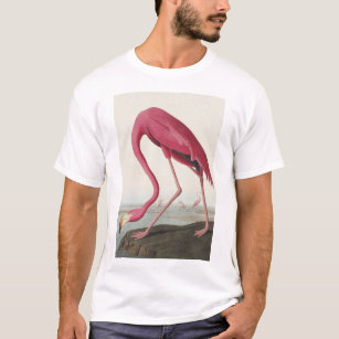 Pink Flamingo from Birds of America T-Shirt