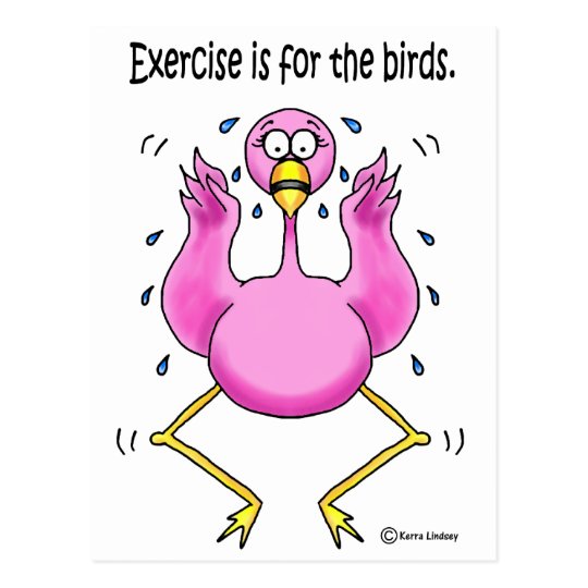 Pink Flamingo Funny Exercise is For the Birds Postcard
