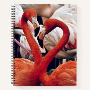 Pink Flamingo in Nature Notebook