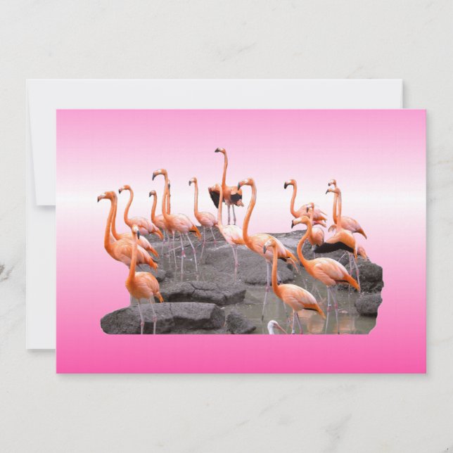Pink Flamingo Invitation (Front)