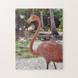 Pink Flamingo Jigsaw Puzzle