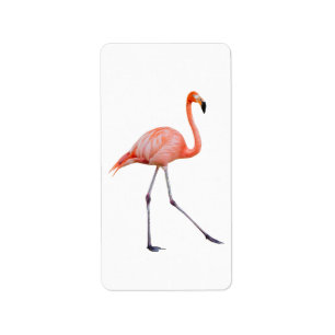 Pink Flamingo Label