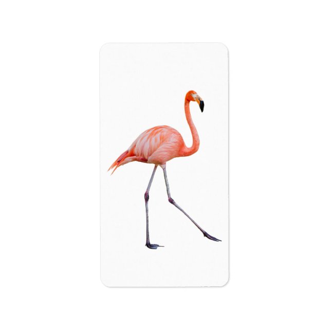 Pink Flamingo Label (Front)