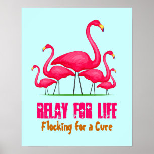 Pink Flamingo Lingo Poster