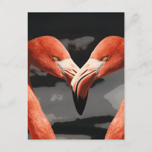 Pink Flamingo Love Heart Shape Valentines Day Holiday Postcard
