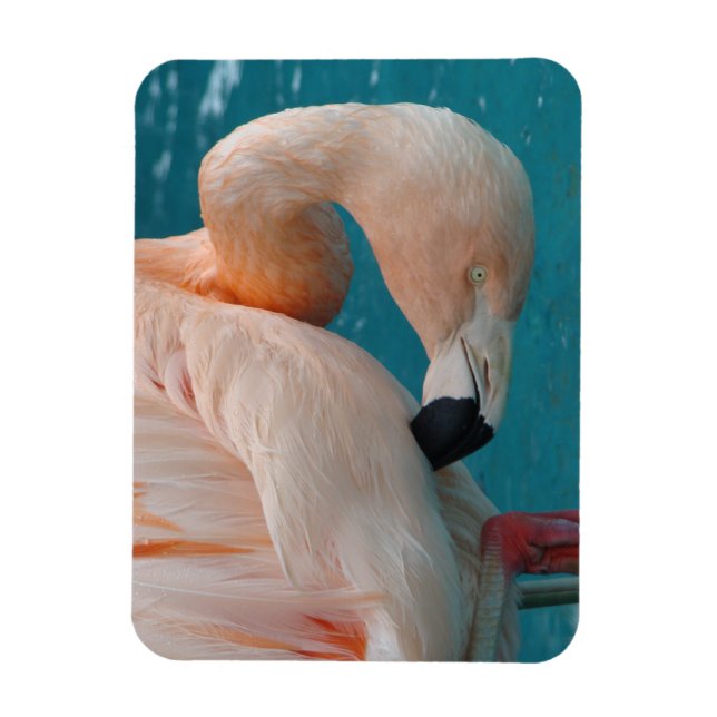 Pink Flamingo Magnet (Vertical)