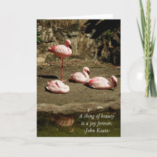 PINK FLAMINGO NOTE CARDS
