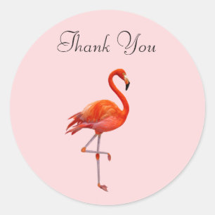 Pink Flamingo on Pink Thank You Classic Round Sticker