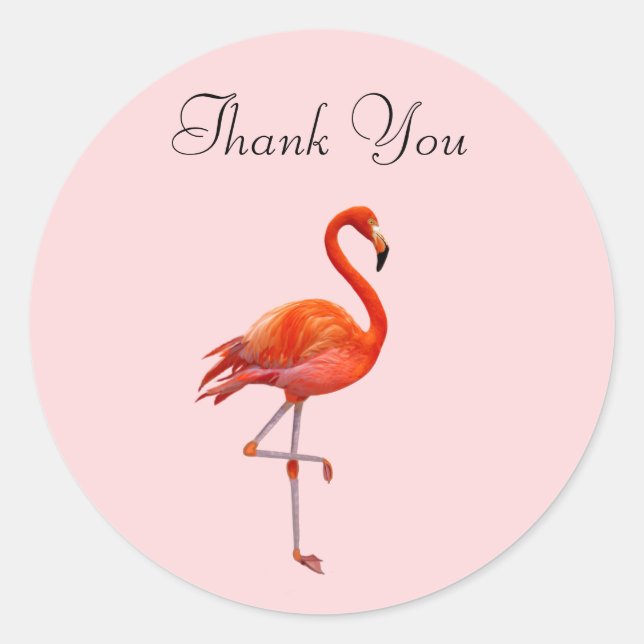 Pink Flamingo on Pink Thank You Classic Round Sticker (Front)