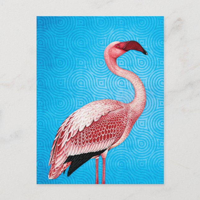 Pink Flamingo on Retro Blue Pattern Postcard (Front)