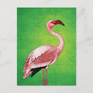 Pink Flamingo on Retro Green Pattern Postcard