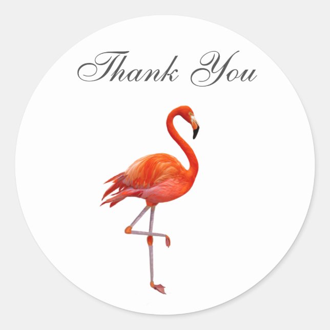 Pink Flamingo on White Background  Thank You Classic Round Sticker (Front)