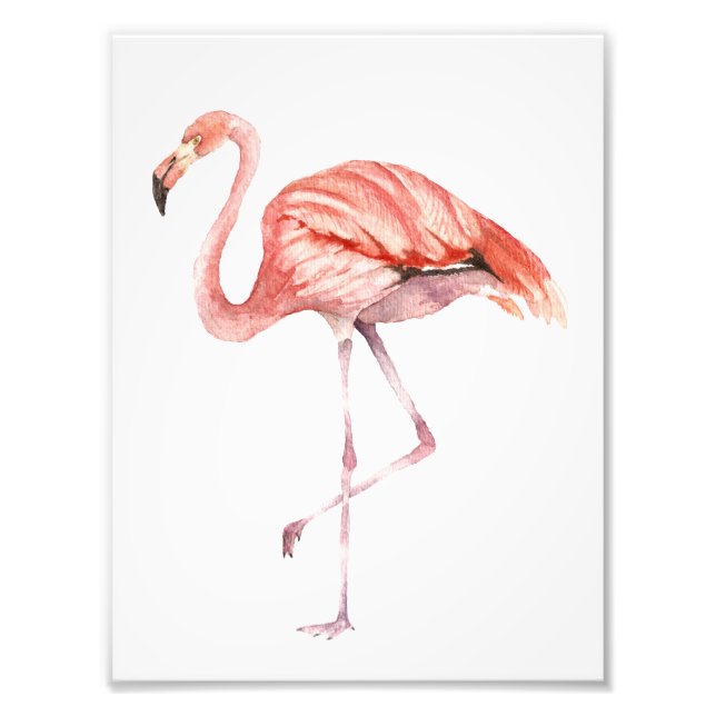 Pink Flamingo Photo Print (Front)