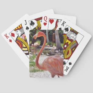 Pink Flamingo Playing Cards