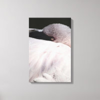 Pink Flamingo Portrait Drawing Effect Art