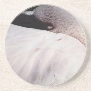 Pink Flamingo Portrait Drawing Effect Art Coaster