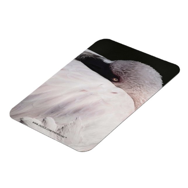 Pink Flamingo Portrait Drawing Effect Art Magnet (Left Side)