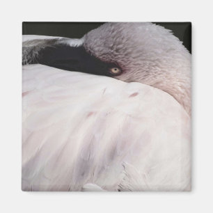 Pink Flamingo Portrait Drawing Effect Art Magnet