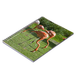 Pink Flamingo Portrait Drawing Effect Art Notebook