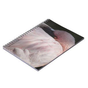 Pink Flamingo Portrait Drawing Effect Art Notebook
